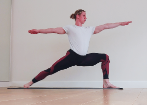 Workshop Aerial Yoga